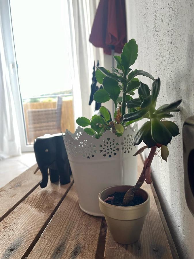 Schoene Wohnung In Ruhiger Laendlicher Lage Heidenheim  Luaran gambar